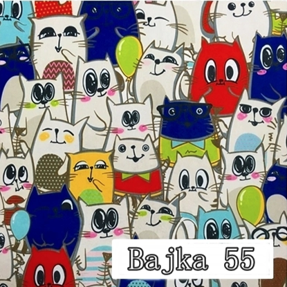 „BAJKA 55